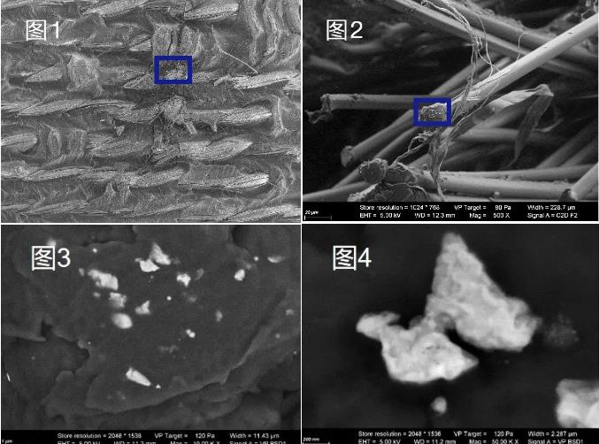 合川蔡司合川扫描电镜 合川蔡司合川扫描电镜